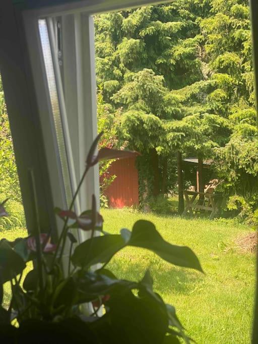 Familienfreundliches Landhaus "Karin" Mit Pool Struppen Exterior photo